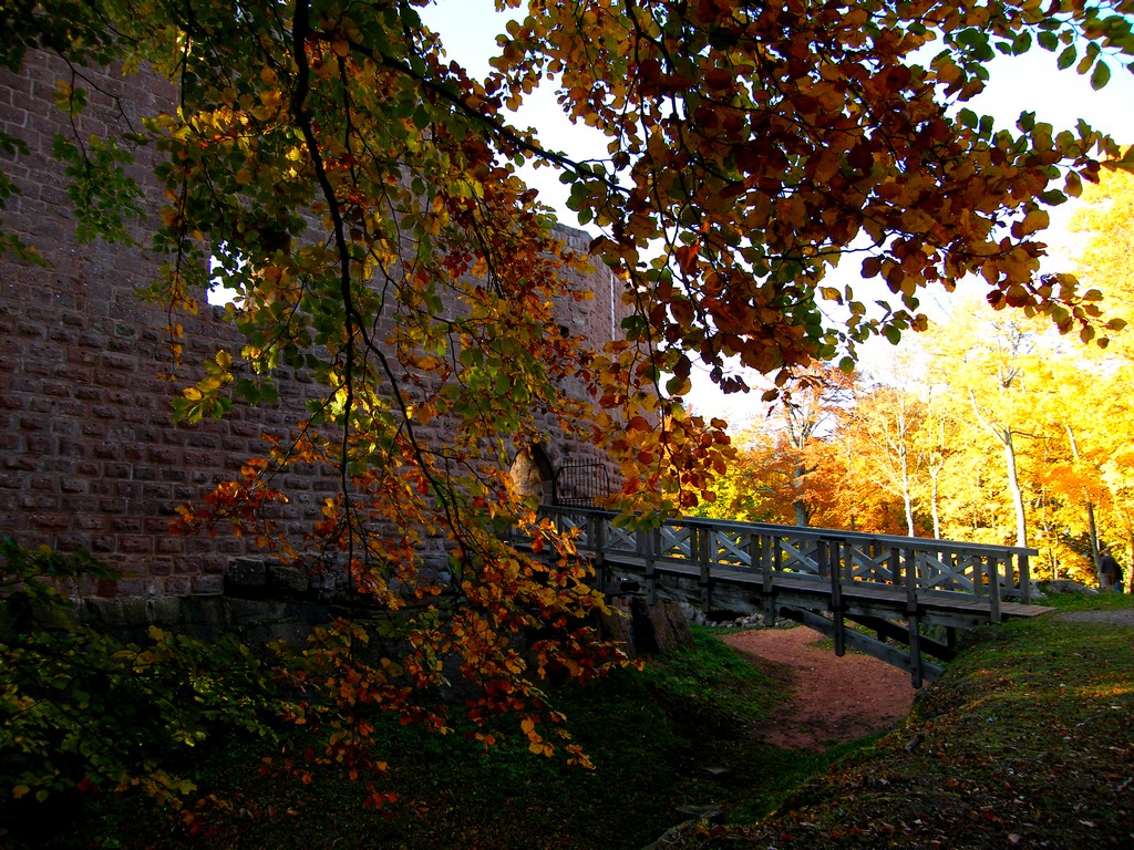 Wangenbourg